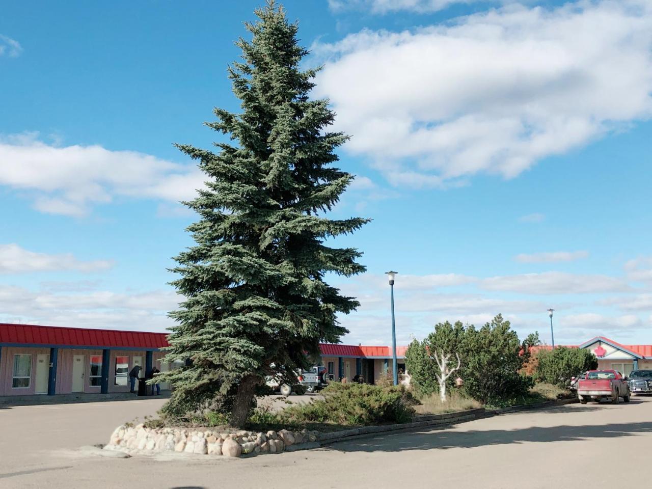 Canadian Motel Норт-Бетлфорд Екстер'єр фото